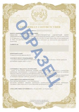 Образец Сертификат СТО 01.064.00220722.2-2020 Учалы Сертификат СТО 01.064.00220722.2-2020 